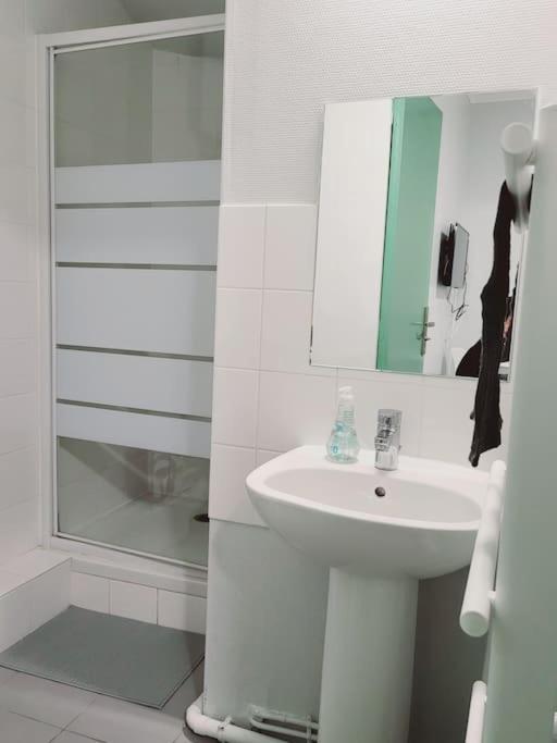 Appartement Proche Disneyland Parc Asterix "Appart'4" 塞纳河畔皮埃尔菲特 外观 照片